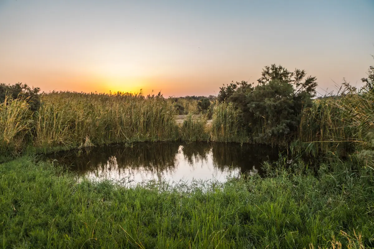 Untold Jordan – 11 Days / 10 Nights